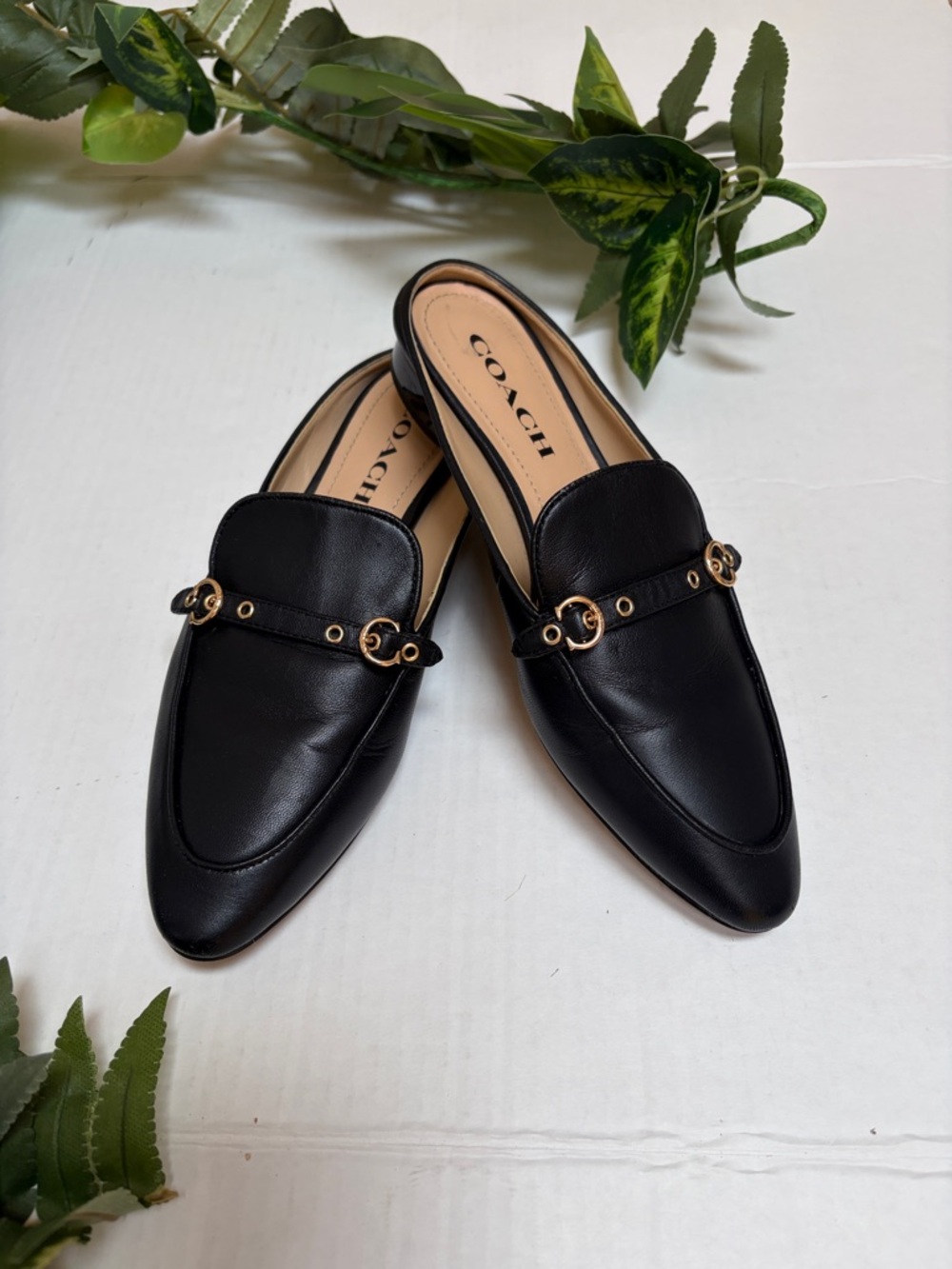 Coach Black Leather Backless Mules with Gold Hardware